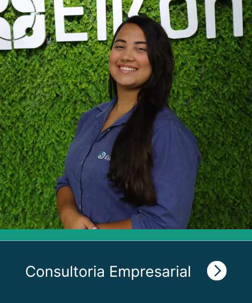 consultoria-empresarial-eikon